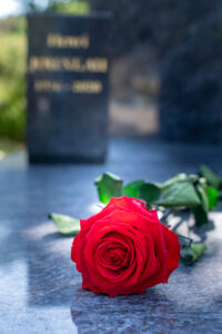 Rose rouge posée sur une tombe.